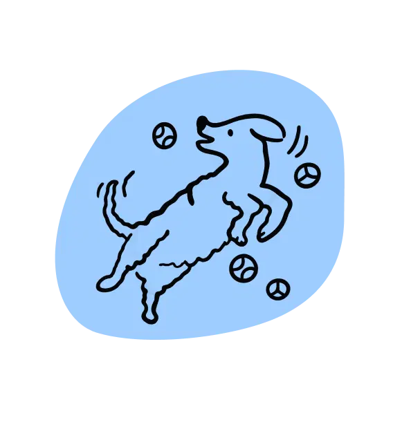 High-energy dog