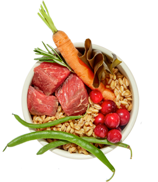 A dog bowl filled with various fresh meats, fruits, veggies, and grains